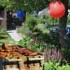 Mosquito Misting System for a Successful Atlanta Garden Party