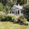Make Your Yard A Mosquito-Free Zone