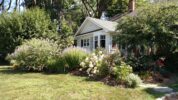 Make Your Yard A Mosquito-Free Zone