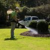 Why You Need Mosquito Protection