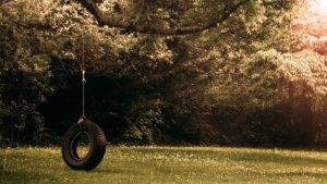 tire swing