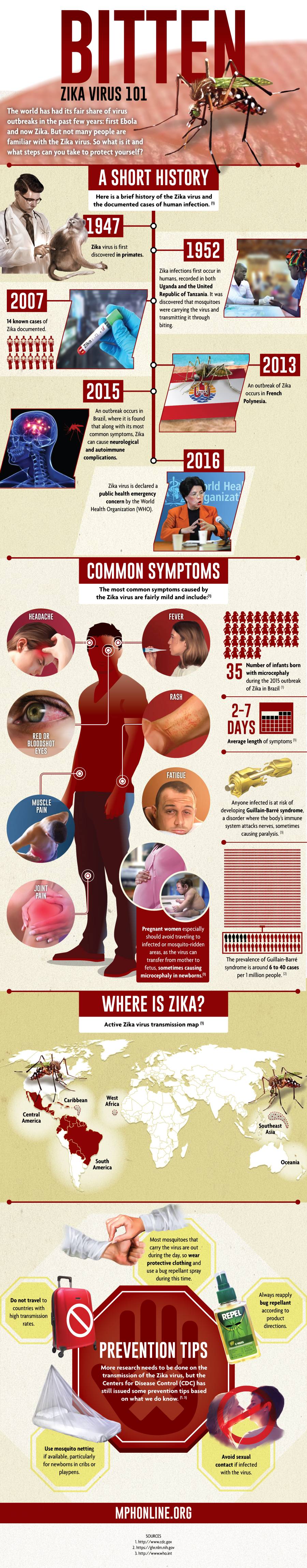 zika virus infographic