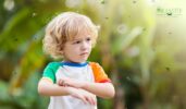 Mosquito Control for Kids