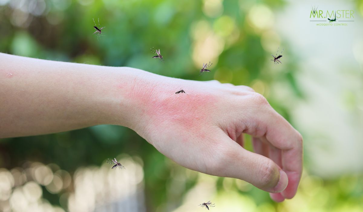 Problems With Mosquitoes