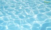 Effective Strategies to Eliminate Mosquitoes from Your Pool Area