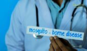 Mosquito Borne Illnesses