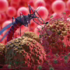Zika Virus Update