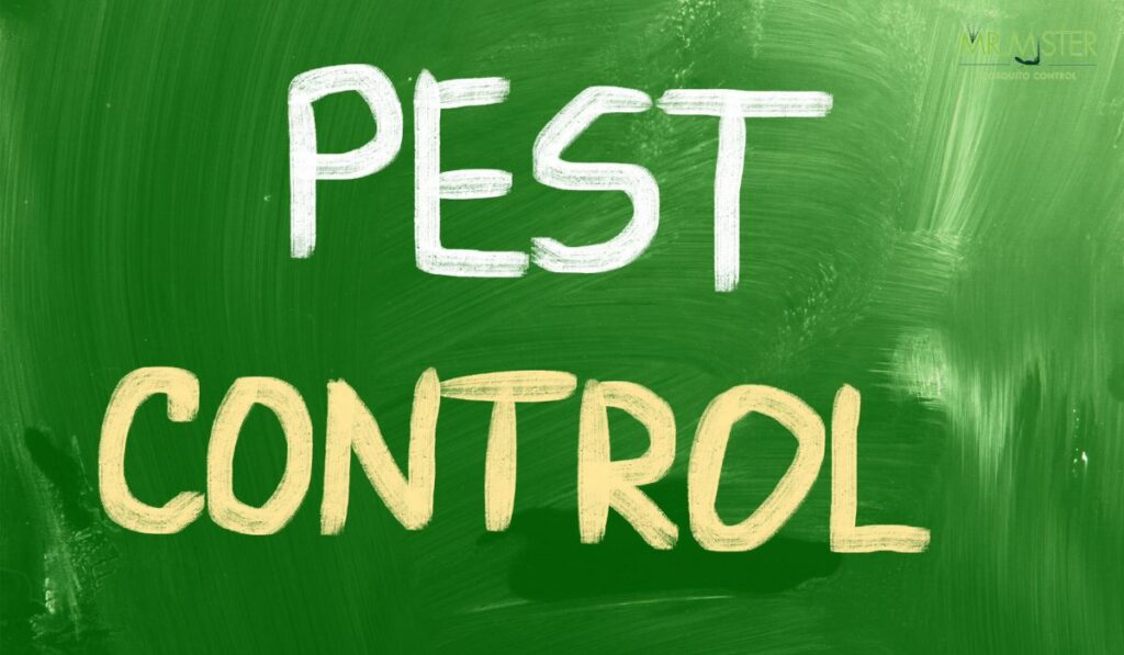 Mosquito Control Steps