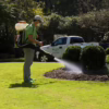 Mr. Mister technician spraying mosquito treatment