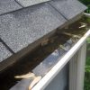 Clogged Gutters
