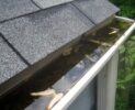 Clogged Gutters