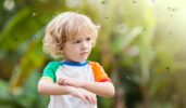 Mosquito Prevention Tips