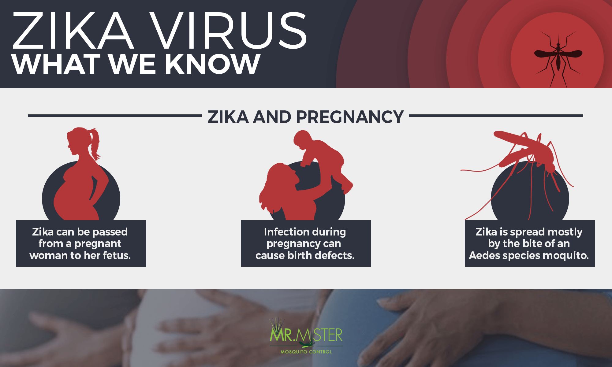 pregnancy-zika-infographic