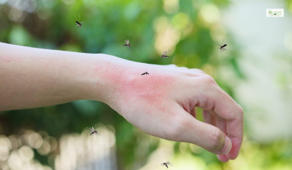 Mosquito Tips