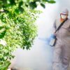 Control Mosquitoes That Breed Indoors