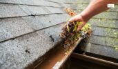 Gutter Cleaning