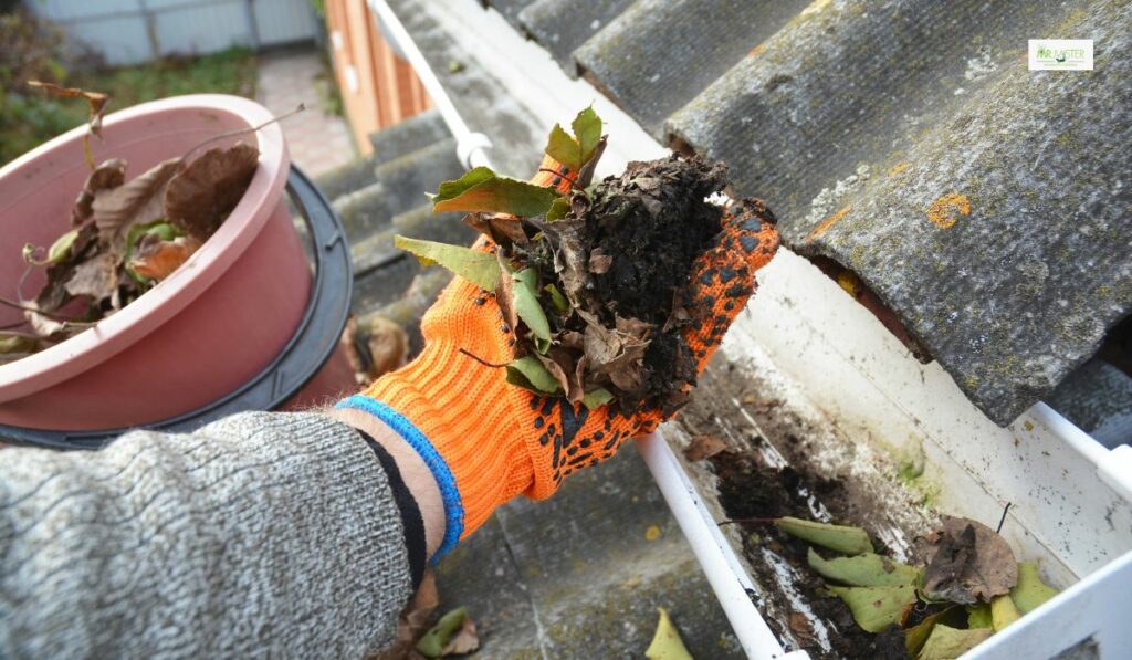 Gutter Cleaning So Important For Mosquito Control