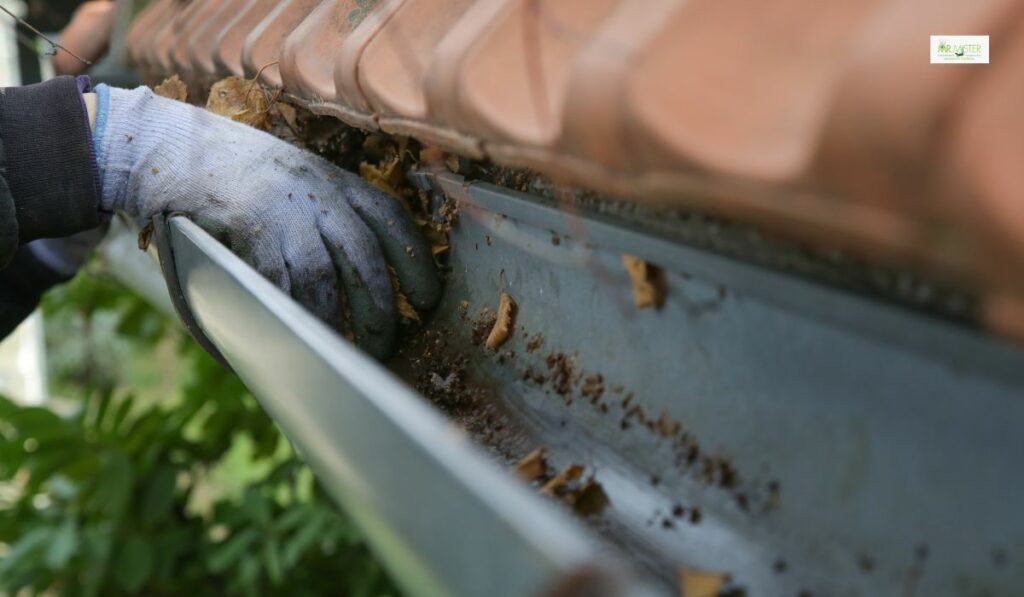 Gutter Cleaning So Important For Mosquito Control