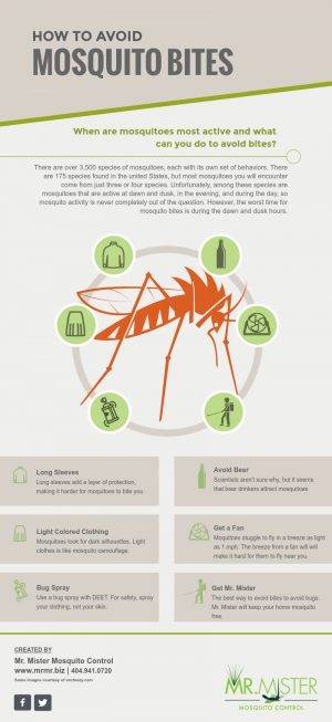 When Are Mosquitoes Most Active - Mr. Mister Mosquito Control