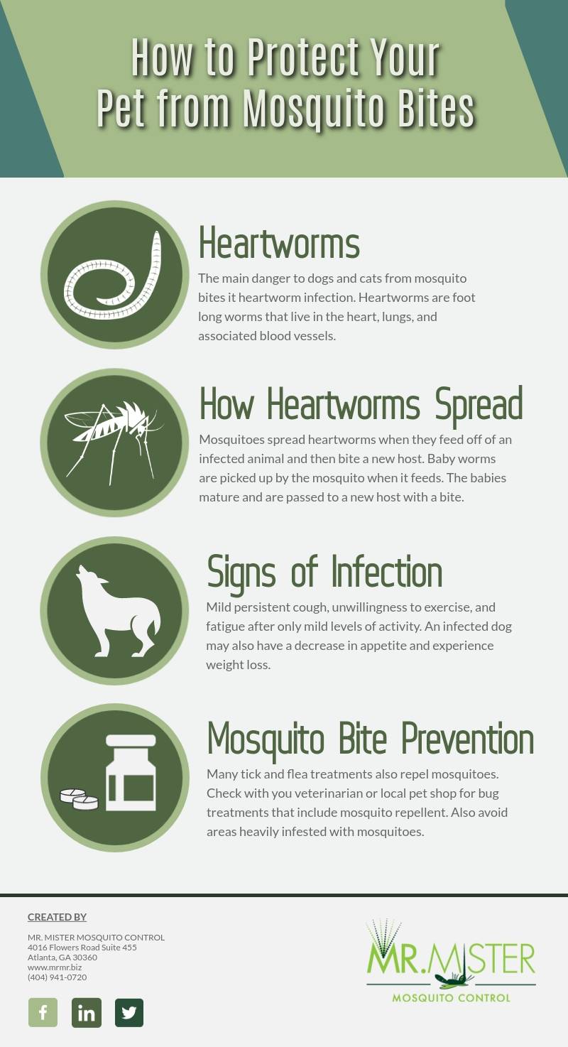 How to Protect Your Dog or Cat from Mosquito Bites [infographic]