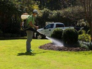 The Benefits of Professional Mosquito Control