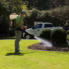 When is It Time to Spray for Mosquitoes