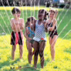 The Best Mosquito Repellent for a Yard