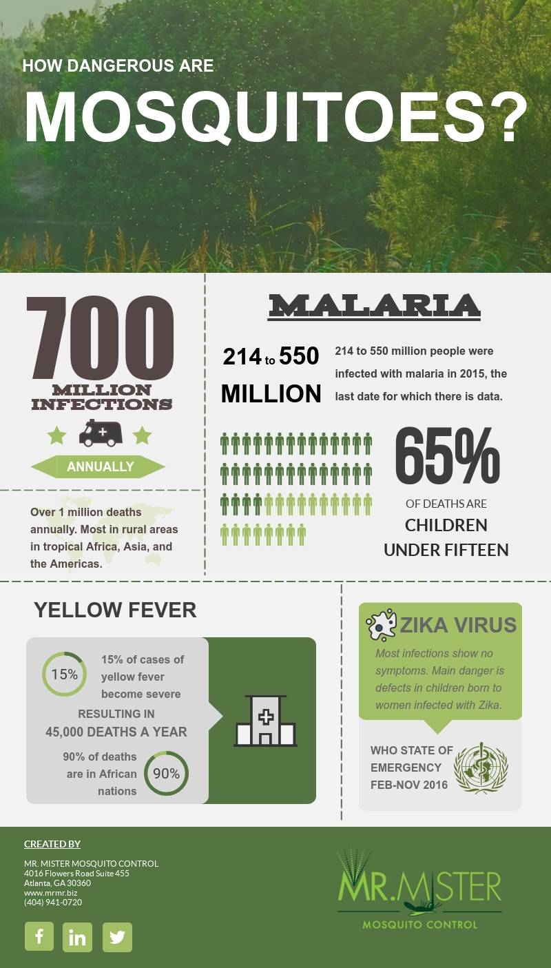 How Dangerous Are Mosquitoes [infographic]