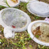 Mosquito Breeding Grounds