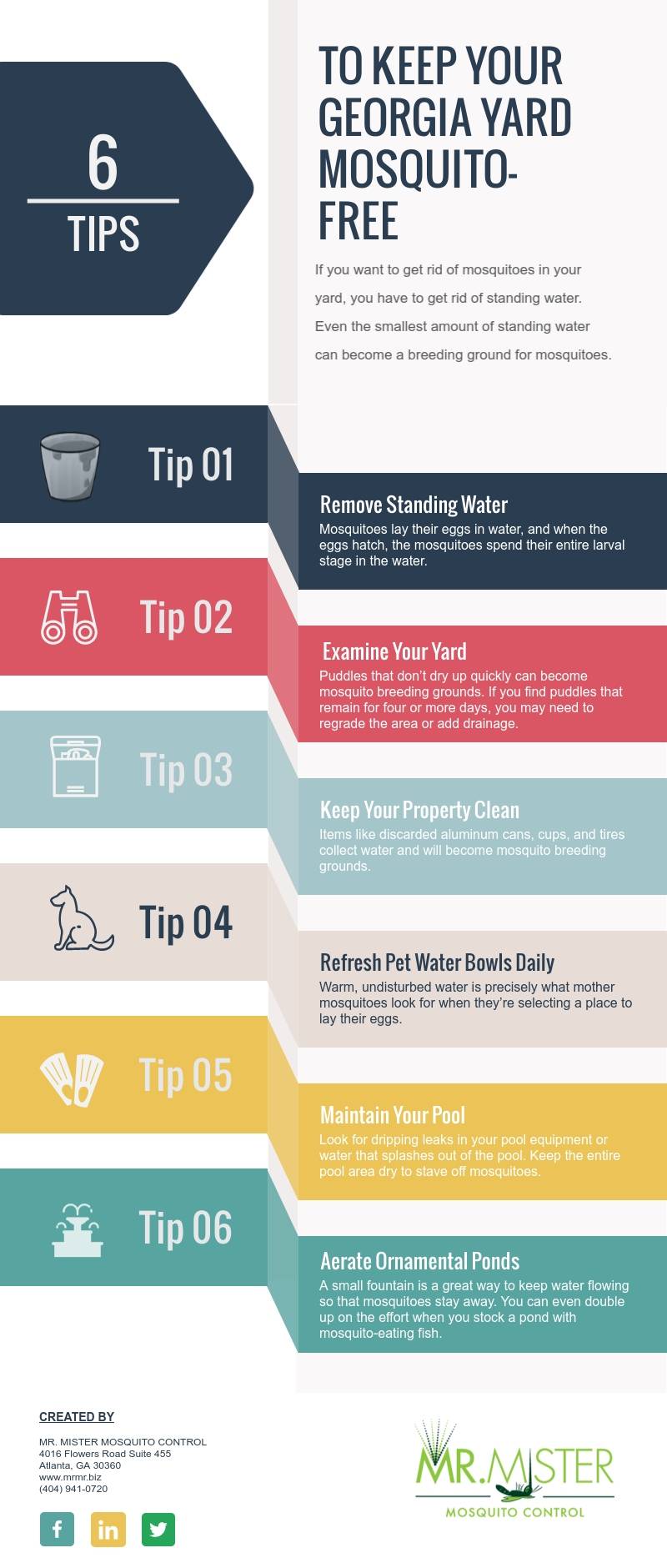 6 Tips To Keep Your Georgia Yard Mosquito Free Standing Water