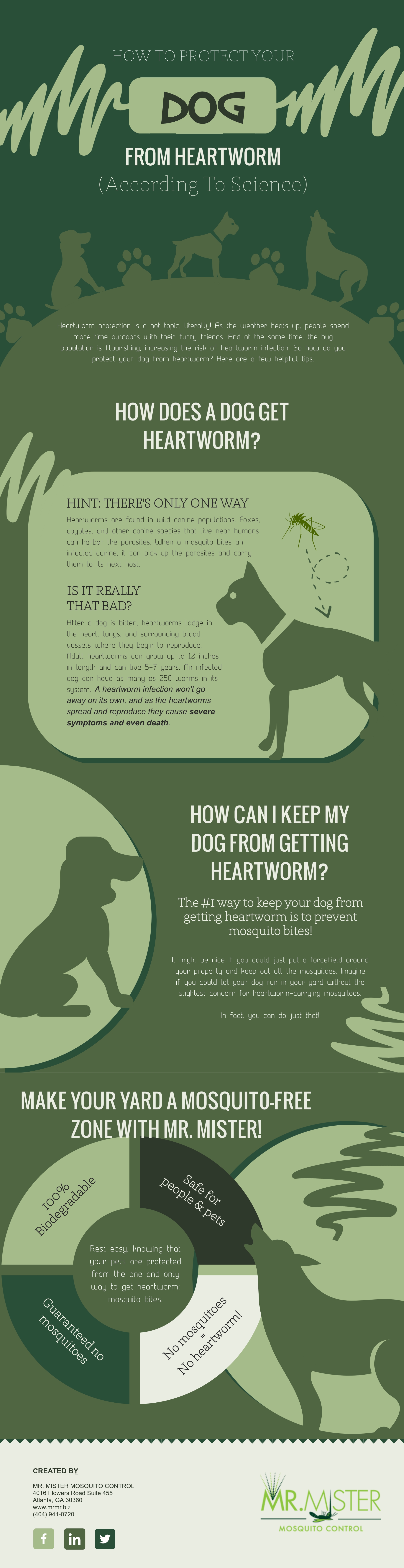 Heartworm and mosquitoes