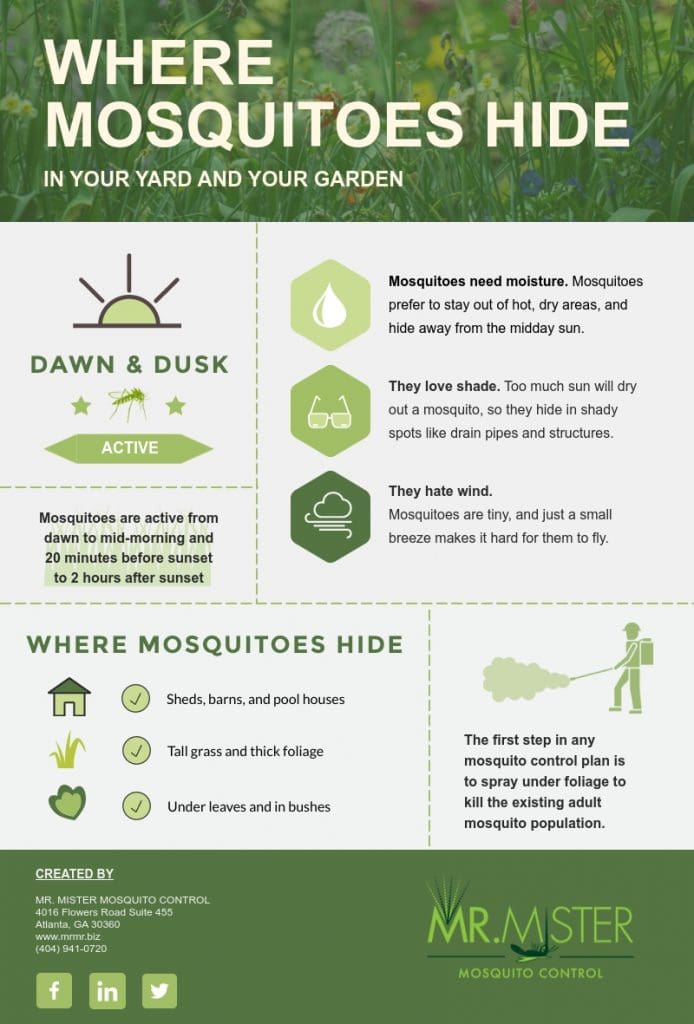 Where Mosquitoes Hide in Your Yard and Your Garden Mr. Mister