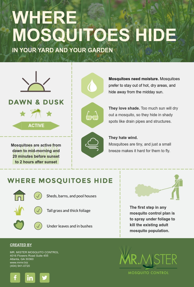 Where Mosquitoes Hide in Your Yard and Your Garden [infographic]