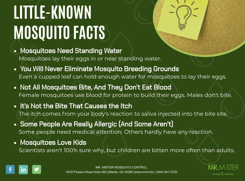 Little-Known Mosquito Facts You May Not Know [infographic]