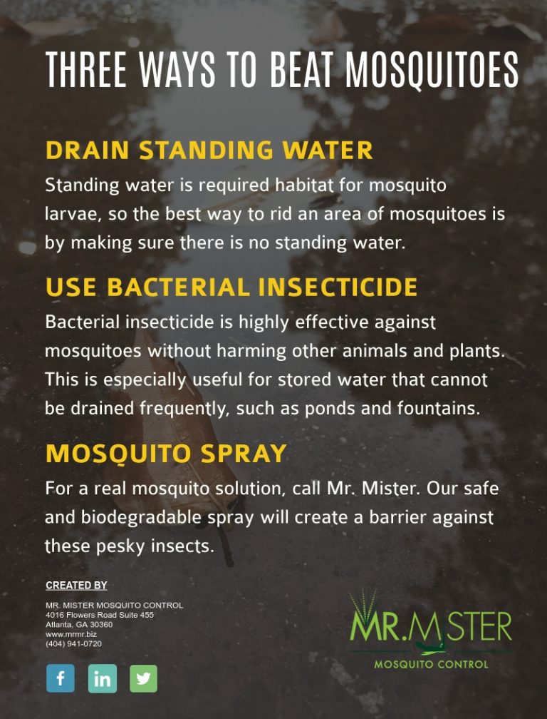 Mosquitoes and Standing Water Mr. Mister Mosquito ControlMr. Mister