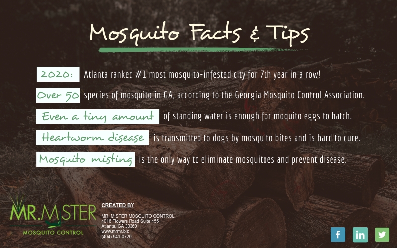 Mosquito Facts and Tips [infographic]