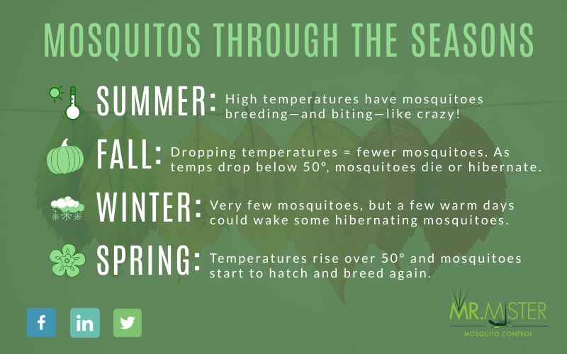 Mosquito Activity and When Mosquitoes Are Inactive [infographic]