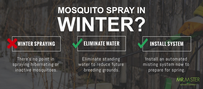 Mosquito Sprays in Winter [infographic]