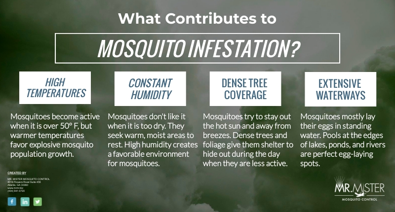 Why You Need Mosquito Protection [infographic]