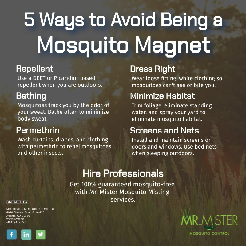 Don’t Be a Mosquito Magnet [infographic]