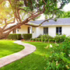 Mosquito-Free Yard and Home