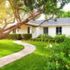 Mosquito-Free Yard and Home