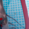 mosquito control for pools