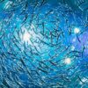 Benefits Of Fish For Mosquito Control
