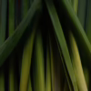 closeup of lemon grass
