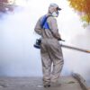 mosquito spray service johns creek