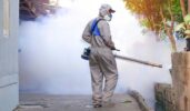 mosquito spray service johns creek