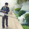 Mosquito Control