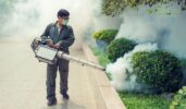 Mosquito Control