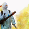 Does Mosquito Control Work